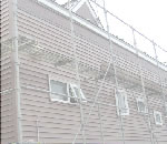 ߥ̴ŹΥݡȥϥ󥰡饵ǥ,͢եΤҲ