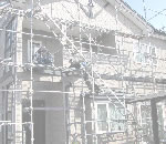 ߥ̴ŹΥݡȥϥ󥰡饵ǥ,͢եΤҲ