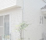 ߥ̴ŹΥݡȥϥ󥰡饵ǥ,͢եΤҲ