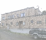 ߥ̴ŹΥݡȥϥ󥰡饵ǥ,͢եΤҲ