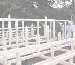 ߥ̴ŹΥݡȥϥ󥰡饵ǥ,͢եΤҲ