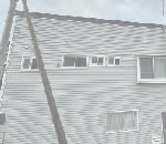 ߥ̴ŹΥݡȥϥ󥰡饵ǥ,͢եΤҲ