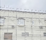 ߥ̴ŹΥݡȥϥ󥰡饵ǥ,͢եΤҲ