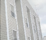 ߥ̴ŹΥݡȥϥ󥰡饵ǥ,͢եΤҲ