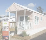 ߥ̴ŹΥȥ졼顼ϥӡȥ졼顼ϥŹѽѤΤҲ