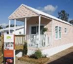 ߥ̴ŹΥȥ졼顼ϥӡȥ졼顼ϥŹѽѤΤҲ