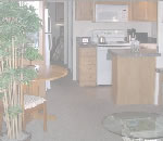 ߥ̴ŹΥȥ졼顼ϥӡȥ졼顼ϥŹѽѤΤҲ