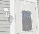 ߥ̴ŹΥȥ졼顼ϥӡȥ졼顼ϥŹѽѤΤҲ