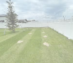 �Х��ʥ�ե��󥹻ܹ�,�ߥ��������̴Ź�ΥХ��ʥ�ե��󥹡����饵���ǥ���,͢�������ե�����Τ��Ҳ�