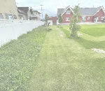 �Х��ʥ�ե��󥹻ܹ�,�ߥ��������̴Ź�ΥХ��ʥ�ե��󥹡����饵���ǥ���,͢�������ե�����Τ��Ҳ�